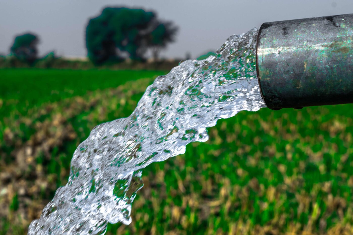 woda-studzienna-a-rolnictwo-znaczenie-dostepu-do-czystej-wody-dla-upraw-i-hodowli
