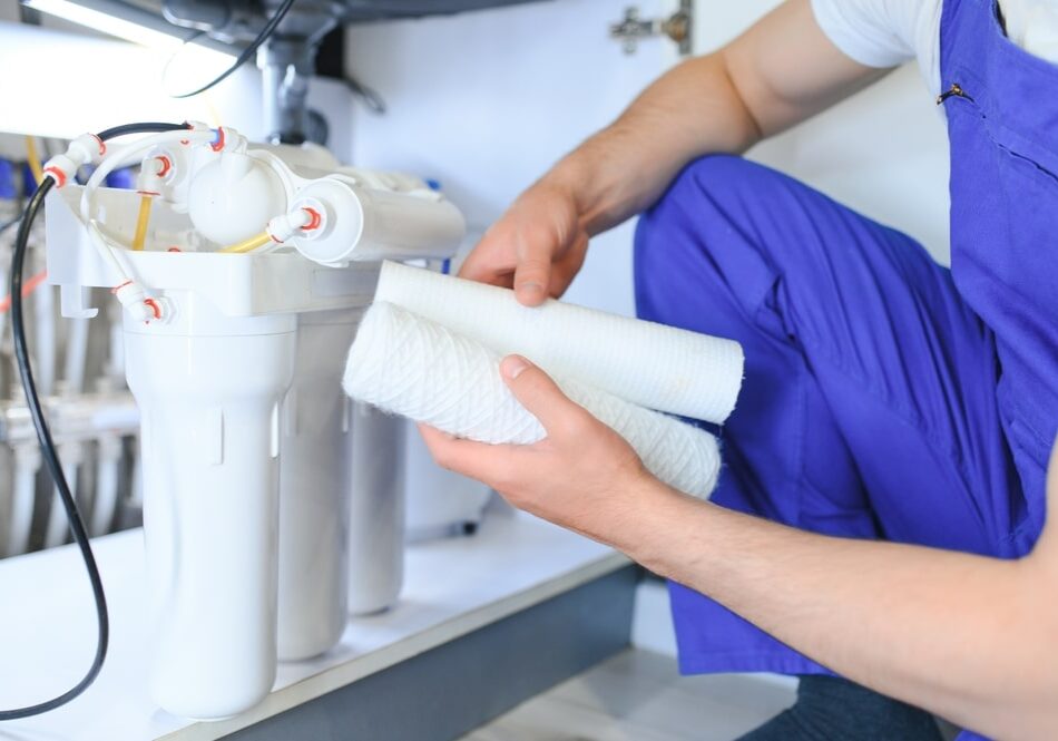 shutterstock_2380431489